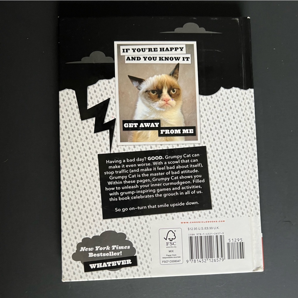 Grumpy Cat a Grumpy Book - Picture 2 of 2